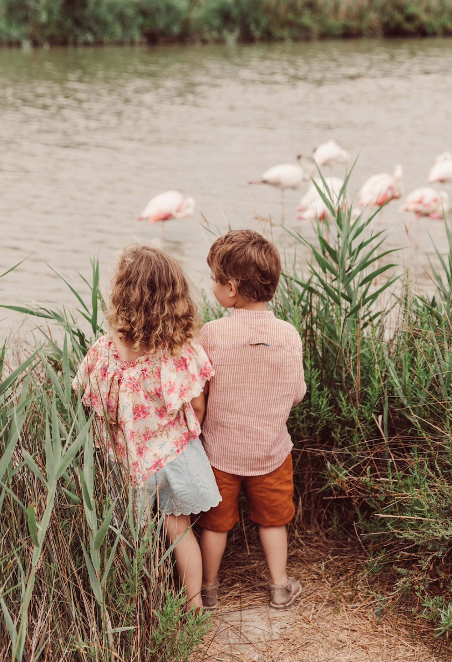 女童粉色碎花棉连衣裙